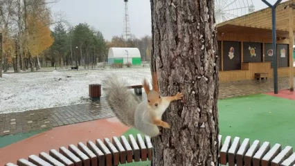 Синоптики прогнозируют похолодание до нуля градусов в Татарстане - НТР 24