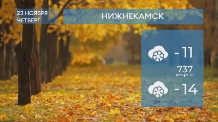 Погода в Нижнекамске на 23-е ноября 2023 года
