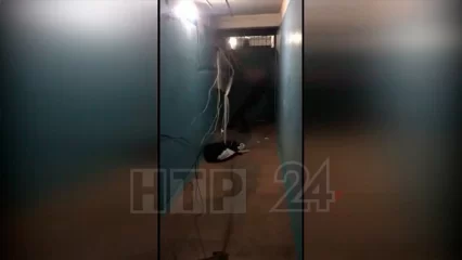 Нижнекамцы сняли на видео парня, устроившего погром в подъезде