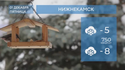 Прогноз погоды в Нижнекамске на 1-е декабря 2023 года