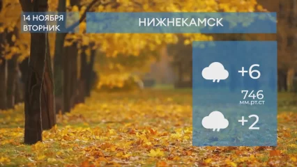 Прогноз погоды в Нижнекамске на 14-е ноября 2023 года