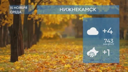 Прогноз погоды в Нижнекамске на 15-е ноября 2023 года