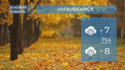 Прогноз погоды в Нижнекамске на 18-е ноября 2023 года