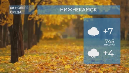 Прогноз погоды в Нижнекамске на 8-е ноября 2023 года
