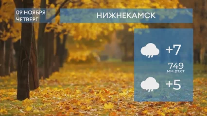 Прогноз погоды в Нижнекамске на 9-е ноября 2023 года