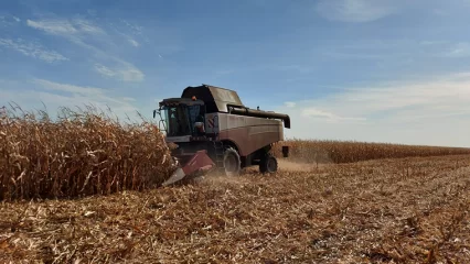 Нижнекамский район собрал 48 тыс. тонн зерна
