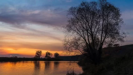 Психологи рассказали татарстанцам, как преодолеть паническую атаку - НТР 24