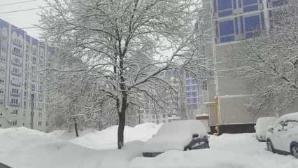 В Татарстане ожидаются 4 дня снегопадов и метелей
