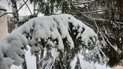 Метеоролог рассказал, когда в Татарстане образуется устойчивый снежный покров