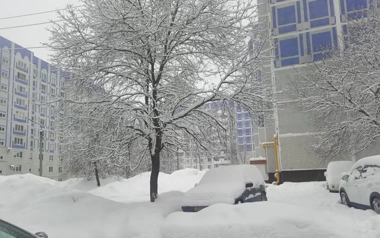 В Татарстане ожидаются 4 дня снегопадов и метелей