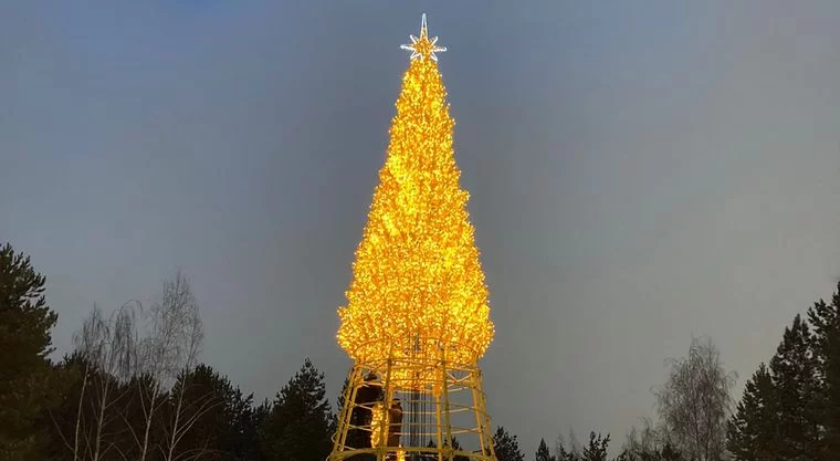 В центральном парке Нижнекамска устанавливают новогоднюю ёлку
