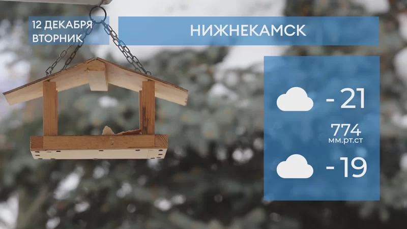 Прогноз погоды в Нижнекамске на 12-е декабря 2023 года