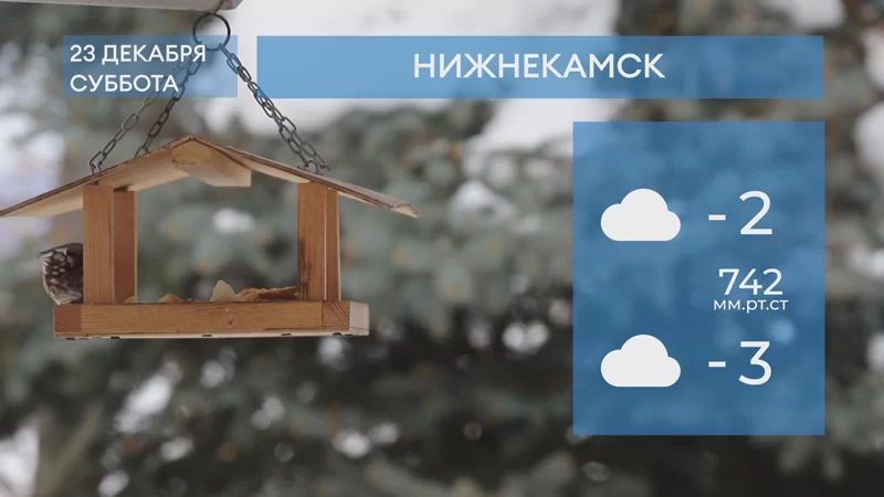 Прогноз погоды в Нижнекамске на 23-е декабря 2023 года