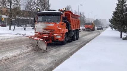 В Нижнекамске побили водителя снегоуборочной машины - НТР 24