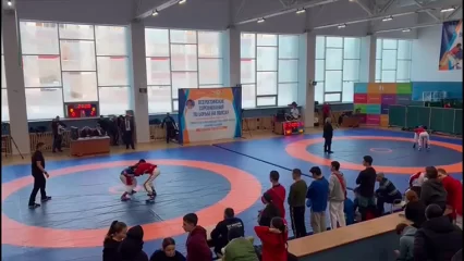 В Нижнекамске прошли всероссийские соревнования по борьбе на поясах