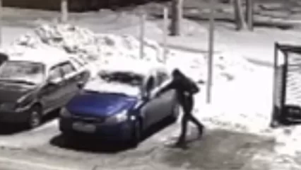 В Нижнекамске мужчина разбил зеркало у припаркованного во дворе автомобиля - НТР 24