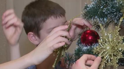 В Нижнекамске открылись ёлочные базары - НТР 24