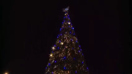 В Нижнекамске организовали уникальное представление на открытии елочного городка - НТР 24