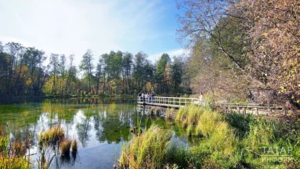 Глава минлесхоза Татарстана высказался за ограничение пользования Голубыми озёрами - НТР 24