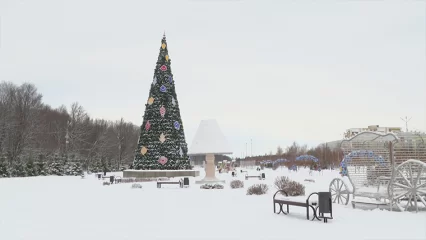 На открытии ёлки на «Солнечной поляне» в Нижнекамске выступит ансамбль «Нардуган» - НТР 24