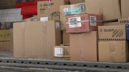 Из Нижнекамска в ДНР и ЛНР отправили 40 тонн гуманитарной помощи - НТР 24