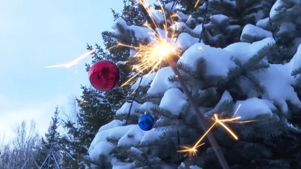 НТР 24 подвёл итоги 2023 года в Нижнекамске - НТР 24