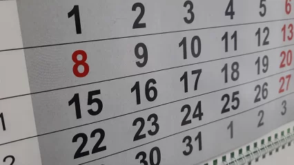 Два выходных дня новогодних каникул перенесут на май и декабрь 2024 года - НТР 24