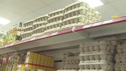 Россиянам рассказали, когда подешевеют яйца - НТР 24