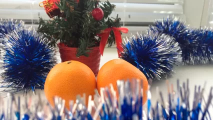 В Нижнекамске стартовал конкурс на лучшее новогоднее оформление дворов и подъездов - НТР 24