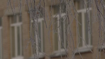 В Нижнекамске из-за мороза перенесли обучающий квест по поиску людей - НТР 24