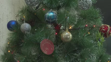 Большинство опрошенных НТР 24 нижнекамцев ставят искусственную елку - НТР 24