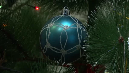 Полпред Путина в ПФО исполнил желание девочки из Казани - НТР 24