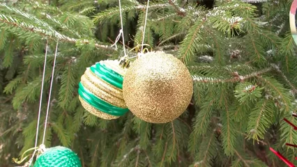 Астролог и стилист дали нижнекамцам советы, как встретить год Дракона - НТР 24