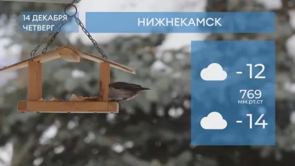 Погода в Нижнекамске на 14-е декабря 2023 года
