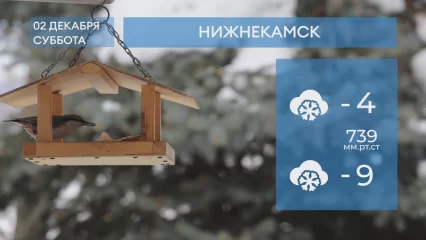 Прогноз погоды в Нижнекамске на 2-е декабря 2023 года