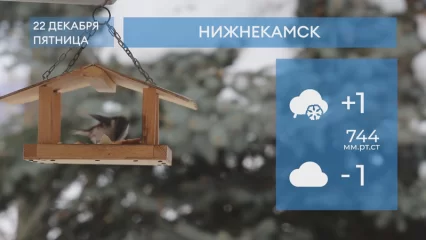 Прогноз погоды в Нижнекамске на 22-е декабря 2023 года
