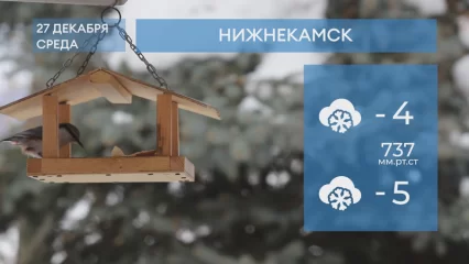 Прогноз погоды в Нижнекамске на 27-е декабря 2023 года