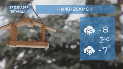 Прогноз погоды в Нижнекамске на 29-е декабря 2023 года