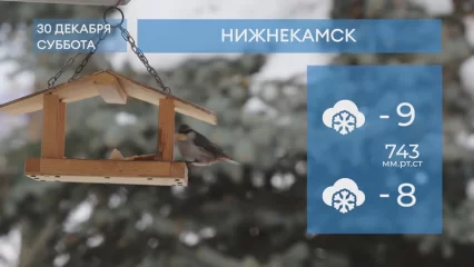Прогноз погоды в Нижнекамске на 30-е декабря 2023 года
