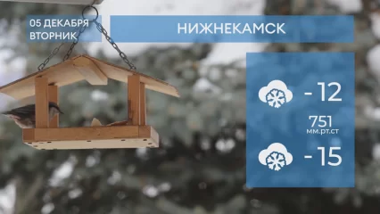 Прогноз погоды в Нижнекамске на 5-е декабря 2023 года