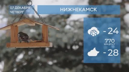 Прогноз погоды в Нижнекамске на 7-е декабря 2023 года