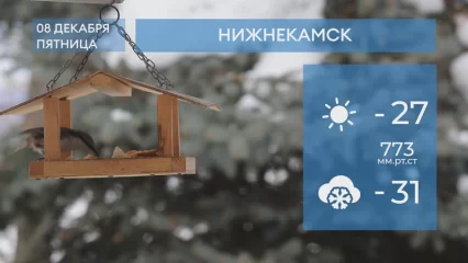Прогноз погоды в Нижнекамске на 8-е декабря 2023 года