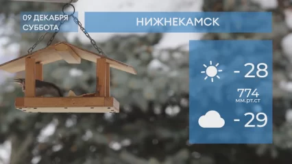 Прогноз погоды в Нижнекамске на 9-е декабря 2023 года