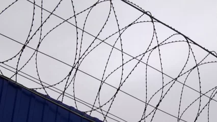 Надругавшийся над детьми в летнем лагере нижнекамец получил 17 лет колонии - НТР 24