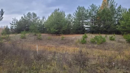 В Казани на территории будущей стройки обнаружили остатки селища XVIII века - НТР 24