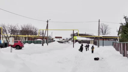 На развитие агротуризма в Нижнекамском районе могут выделить до 10 млн рублей - НТР 24