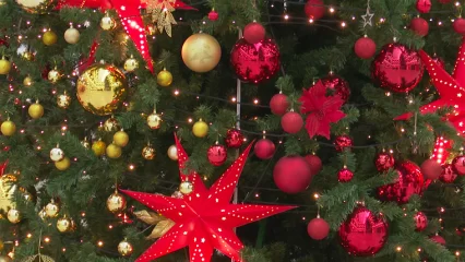 Около двух тысяч юных нижнекамцев приглашены на Ёлку главы - НТР 24