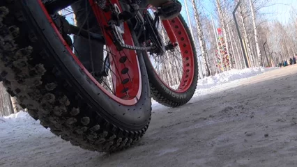 В Татарстане курьеры пройдут онлайн-интенсив по самозанятости - НТР 24