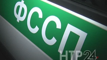 Приставы взыскали с нижнекамской агрофирмы 4,7 млн рублей - НТР 24