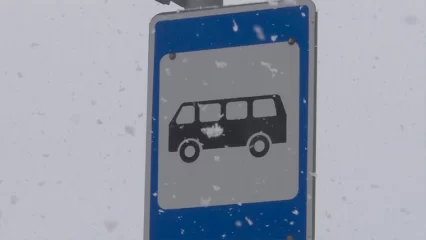 В Татарстане школьника высадили из автобуса на мороз, возбуждено уголовное дело - НТР 24